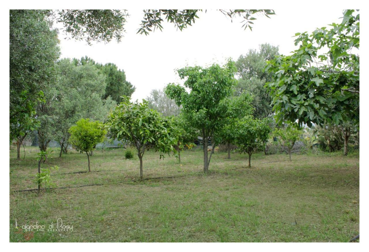 Il Giardino Di Rosy Villa Su Forti Luaran gambar